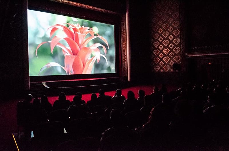 Cinema São Luiz, no Recife (PE), tem sessões gratuitas com temática ambiental neste domingo (1º) – Brasil de Fato